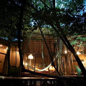 Ojo De Arbol, Boutique In The Real Jungle Tulum